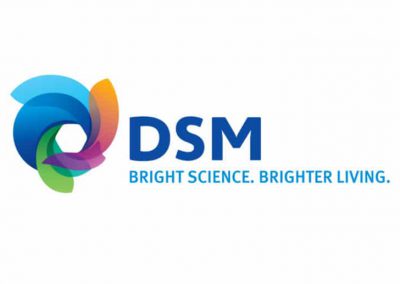 Kaizen at DSM Stanyl: “It’s not rocket science, but it works!”