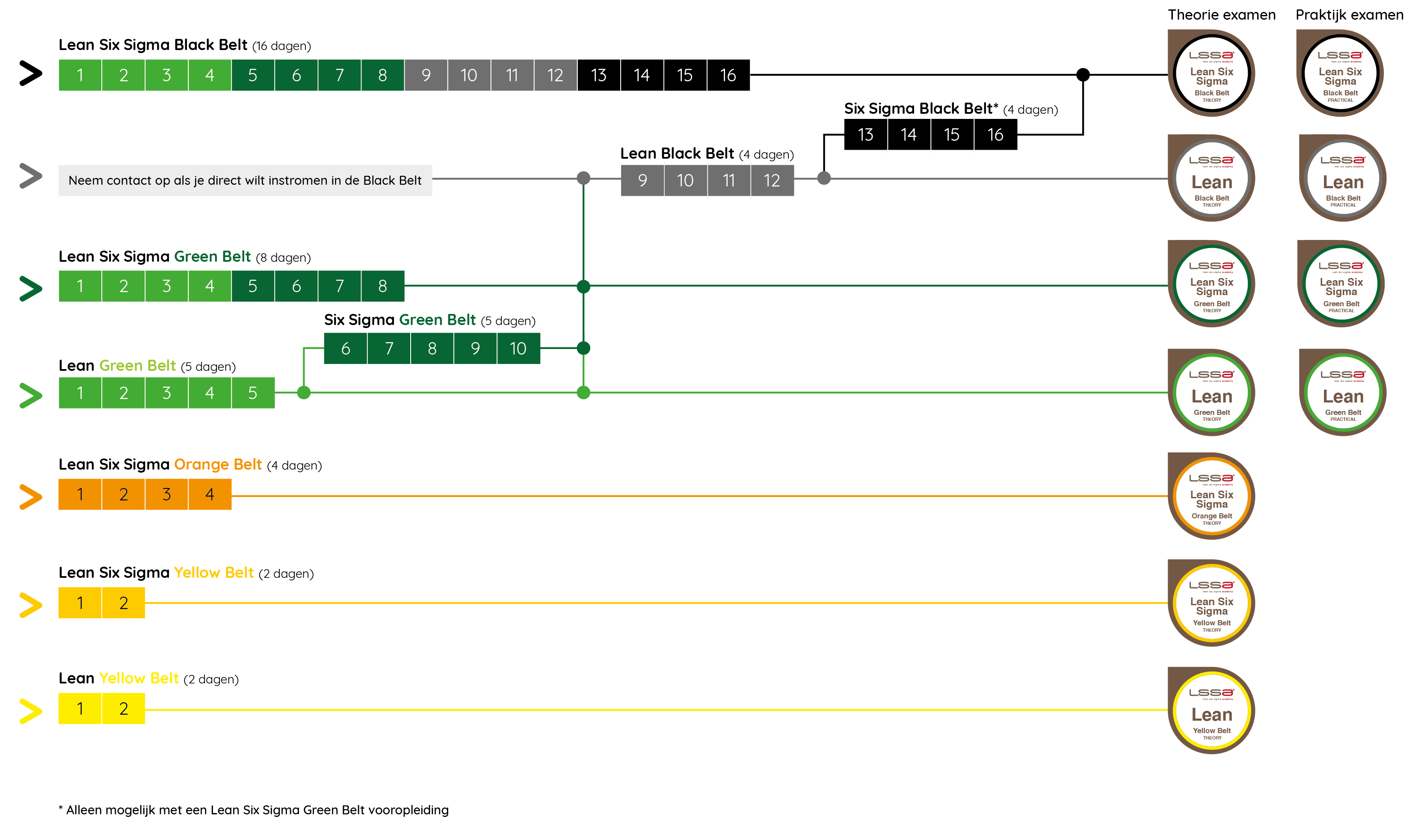 Lean and Lean Six Sigma flow chart