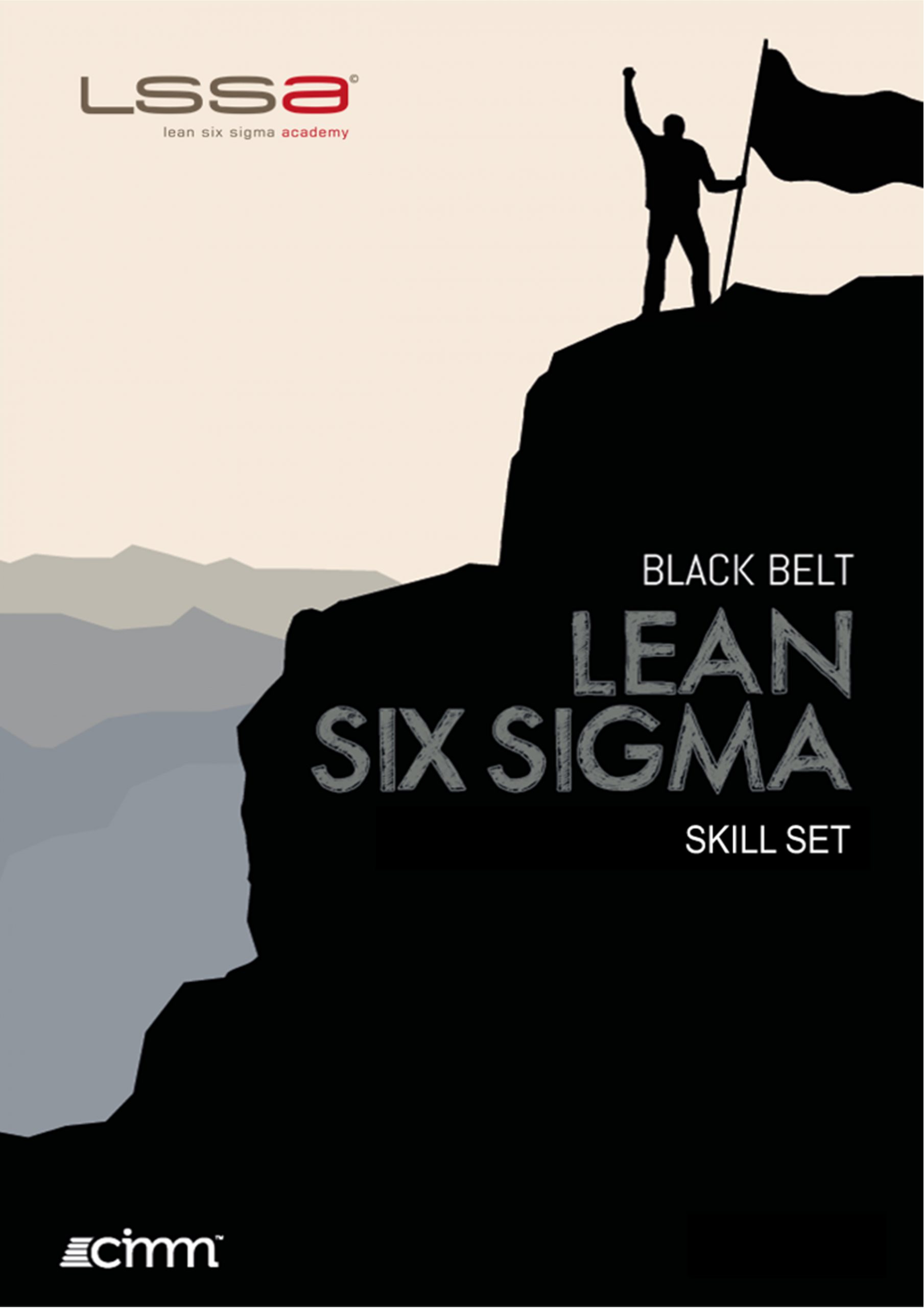 Lean Six Sigma Black Belt skill set