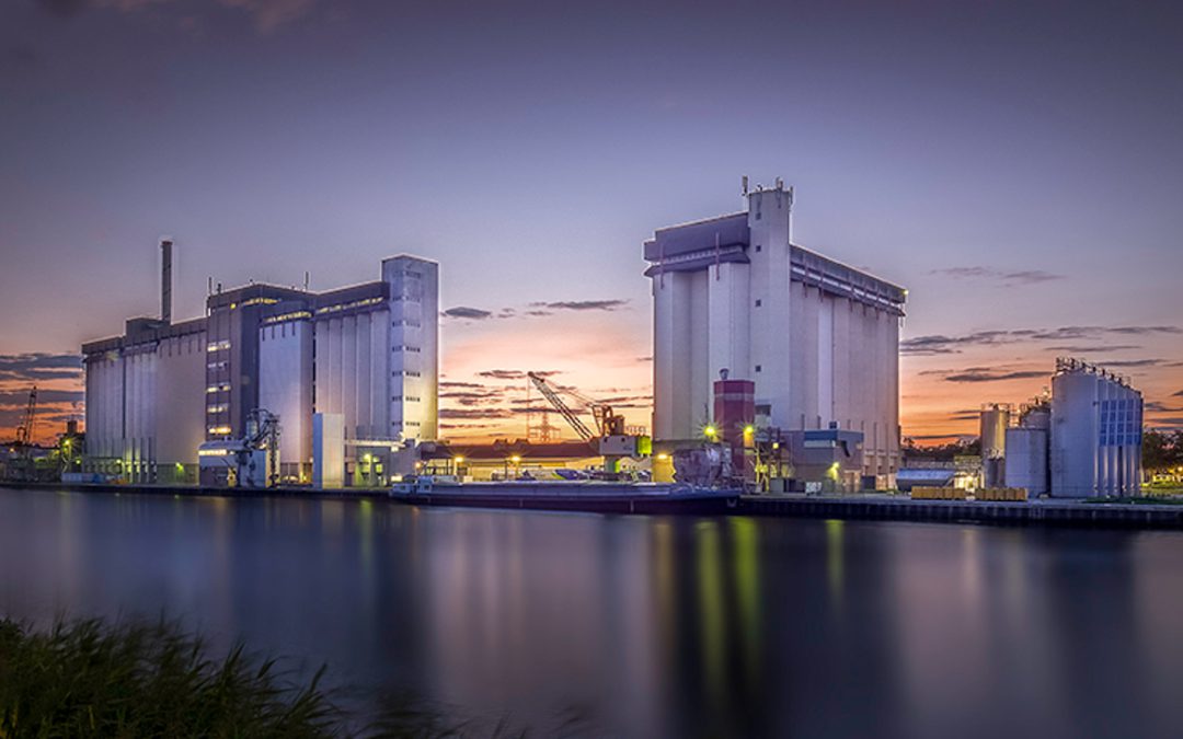 Young professional legt bij ForFarmers Lochem de basis voor continu verbeteren