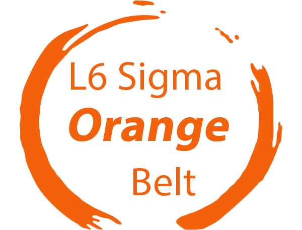 six sigma orange belt