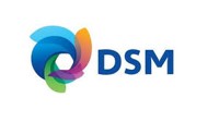 dsm.jpg
